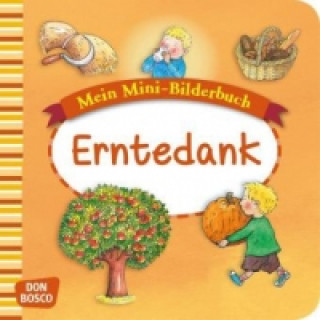 Книга Mein Mini-Bilderbuch: Erntedank Esther Hebert