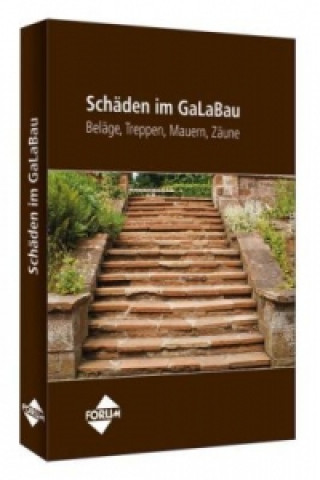 Kniha Schäden im GaLaBau - Beläge, Treppen, Mauern, Zäune 