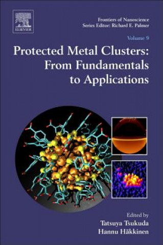 Könyv Protected Metal Clusters: From Fundamentals to Applications Tatsuya Tsukuda