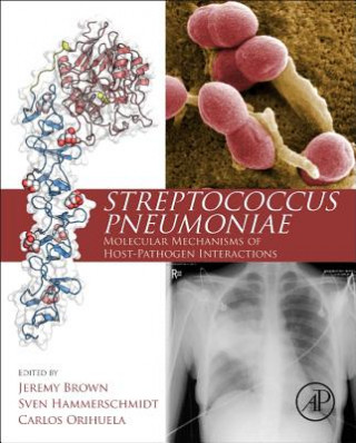 Kniha Streptococcus Pneumoniae Jeremy Brown