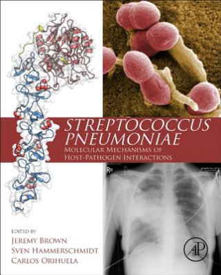 Książka Streptococcus Pneumoniae Jeremy Brown