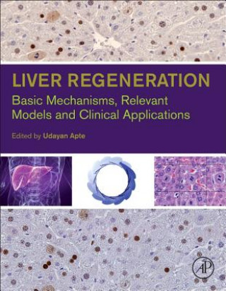 Książka Liver Regeneration Udayan M. Apte