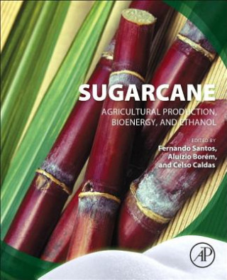 Kniha Sugarcane Fernando Santos