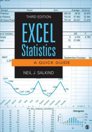Kniha Excel Statistics Neil J Salkind