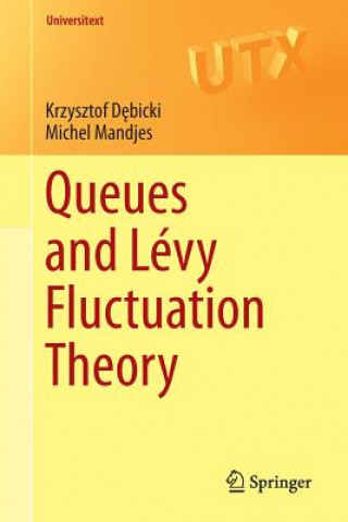 Könyv Queues and Levy Fluctuation Theory Krzysztof Debicki