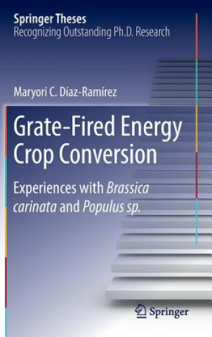 Könyv Grate-Fired Energy Crop Conversion Maryori Coromoto Díaz-Ramírez