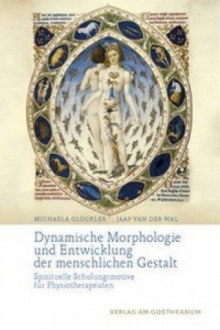 Kniha Dynamische Morphologie und Entwicklung der menschlichen Gestalt Michaela Glöckler