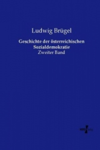 Livre Geschichte der österreichischen Sozialdemokratie Ludwig Brügel