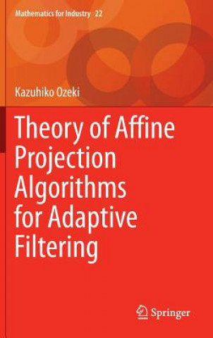 Książka Theory of Affine Projection Algorithms for Adaptive Filtering Kazuhiko Ozeki