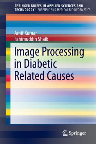 Книга Image Processing in Diabetic Related Causes Amit Kumar