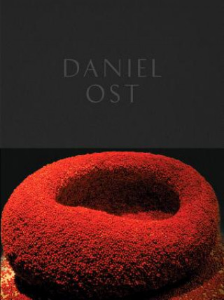 Kniha Daniel Ost Paul Geerts