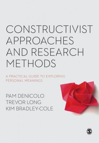 Kniha Constructivist Approaches and Research Methods Pam Denicolo