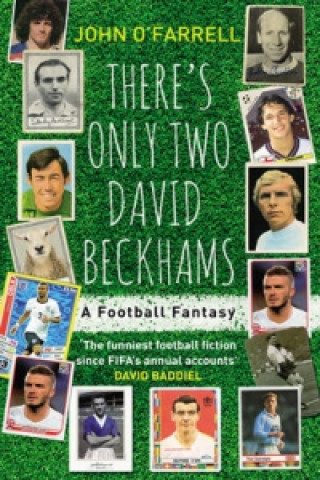 Könyv There's Only Two David Beckhams John O'Farrell