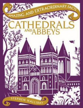 Kniha Cathedrals and Abbeys Stephen Halliday
