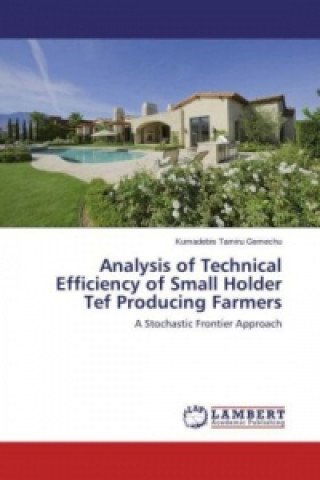 Książka Analysis of Technical Efficiency of Small Holder Tef Producing Farmers Kumadebis Tamiru Gemechu