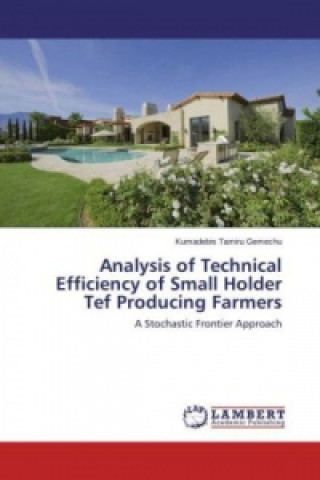 Livre Analysis of Technical Efficiency of Small Holder Tef Producing Farmers Kumadebis Tamiru Gemechu