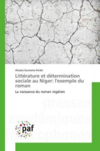 Kniha Littérature et détermination sociale au Niger: l'exemple du roman Aïssata Soumana Kindo