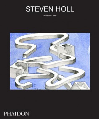 Könyv Steven Holl Steven Holl