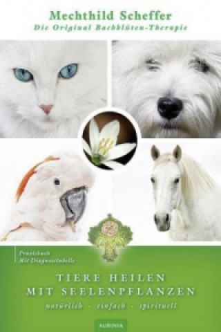 Kniha Tiere heilen mit Bachblüten - Praxisbuch Mechthild Scheffer