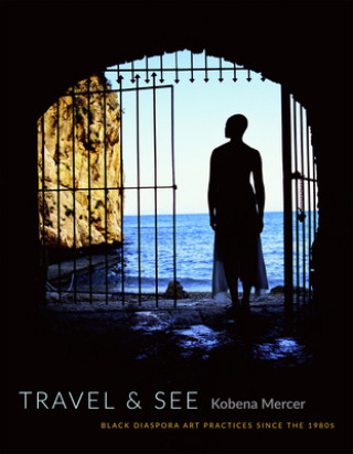 Könyv Travel & See Kobena Mercer