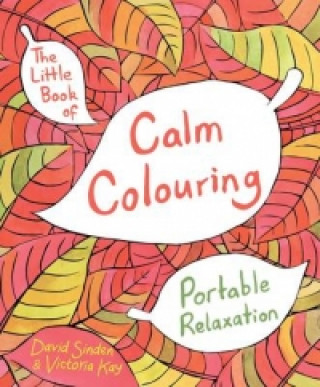 Książka Little Book of Calm Colouring David Sinden