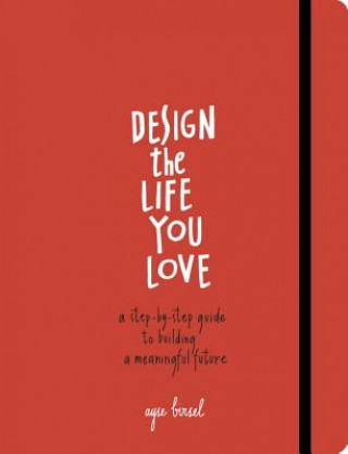Kniha Design the Life You Love Ayse Birsel