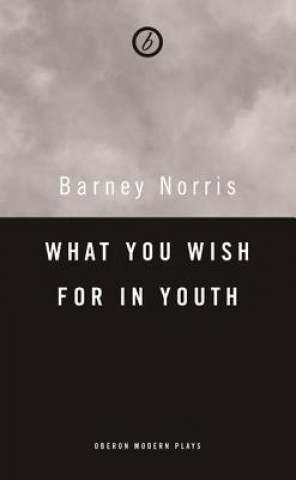 Könyv What you Wish for in Youth: Three Short Plays Barney Norris