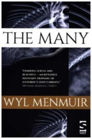 Kniha Many Wyl Menmuir