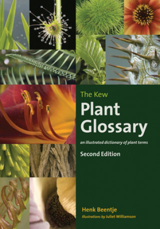 Książka Kew Plant Glossary, The Henk Beentje