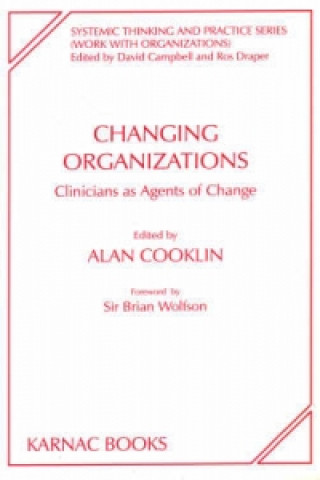 Buch Changing Organizations Alan Cooklin