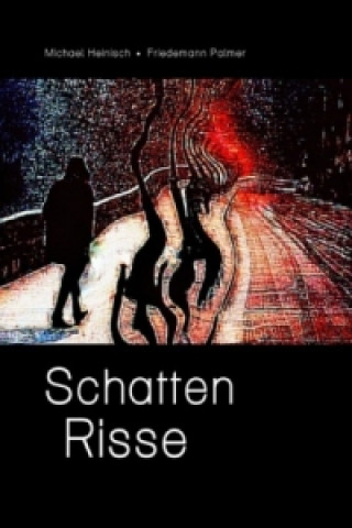 Knjiga Schatten Risse Michael Heinisch