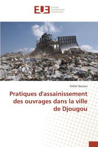 Kniha Pratiques d'Assainissement Des Ouvrages Dans La Ville de Djougou Djossou-P