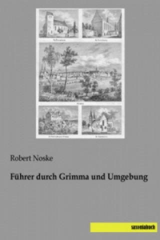 Kniha Führer durch Grimma und Umgebung Robert Noske