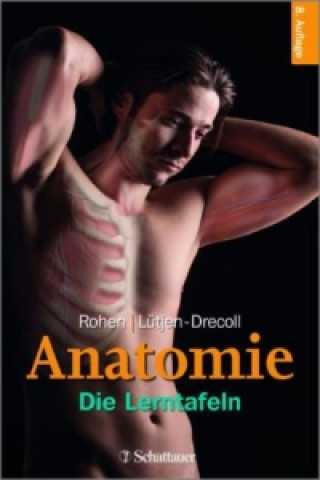 Könyv Anatomie - Die Lerntafeln Johannes W. Rohen