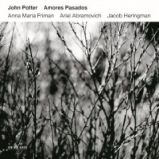 Audio Amores Pasados, 1 Audio-CD John Potter