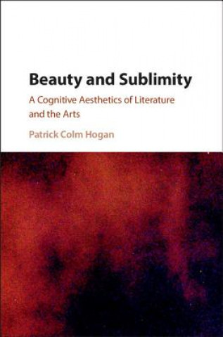 Kniha Beauty and Sublimity Patrick Colm Hogan