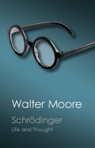 Książka Schroedinger Walter Moore