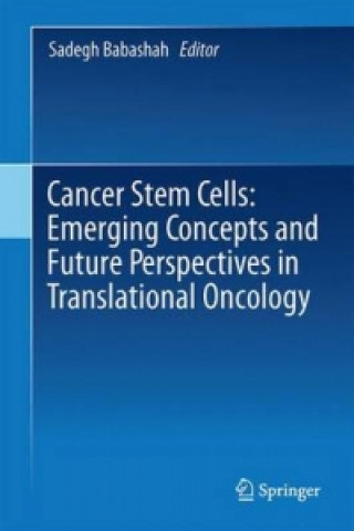 Könyv Cancer Stem Cells: Emerging Concepts and Future Perspectives in Translational Oncology Sadegh Babashah