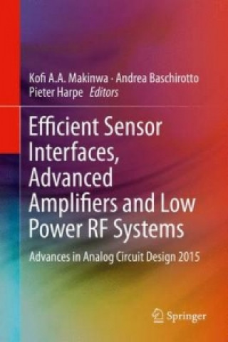 Kniha Efficient Sensor Interfaces, Advanced Amplifiers and Low Power RF Systems Kofi A. A. Makinwa