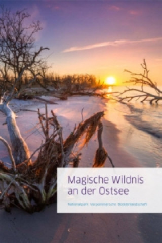 Carte Magische Wildnis an der Ostsee Jan Baginski