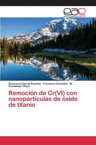 Carte Remocion de Cr(VI) con nanoparticulas de oxido de titanio Garcia Rosales Genoveva