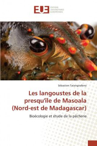 Carte Les langoustes de la presqu'ile de masoala (nord-est de madagascar) Tatangirafeno-S