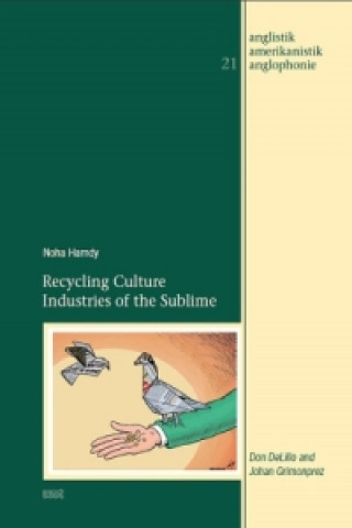 Libro Recycling Culture Industries of the Sublime Noha Hamdy