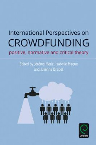 Kniha International Perspectives on Crowdfunding Jérôme Méric