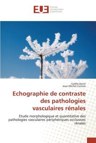 Carte Echographie de Contraste Des Pathologies Vasculaires Renales 