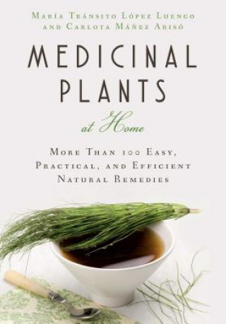 Kniha Medicinal Plants at Home Maria Transito Lopez Luengo