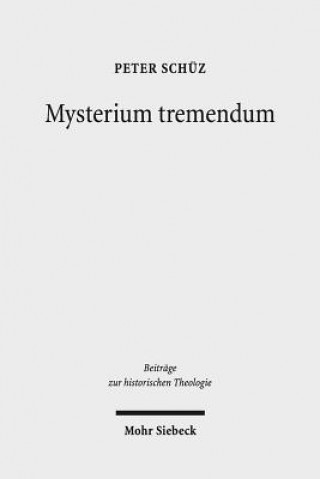 Kniha Mysterium tremendum Peter Schüz