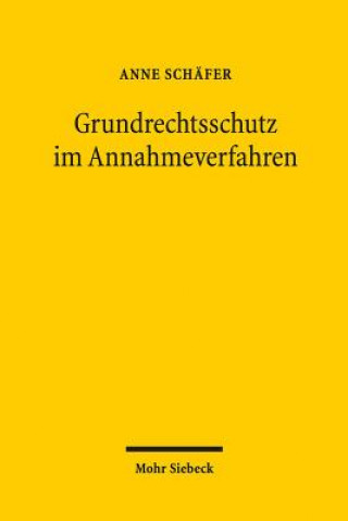 Kniha Grundrechtsschutz im Annahmeverfahren Anne Schäfer