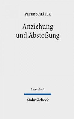 Kniha Anziehung und Abstossung Peter Schäfer