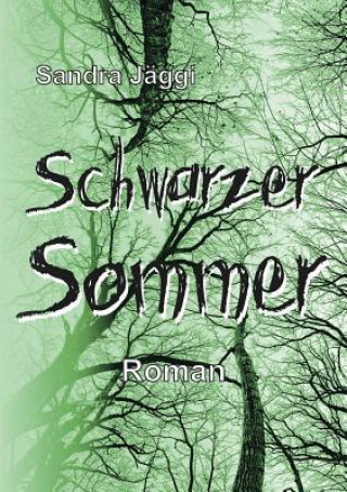 Buch Schwarzer Sommer Sandra Jaggi